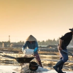 Цифровые ресурсы и экономические аспекты игровой индустрии