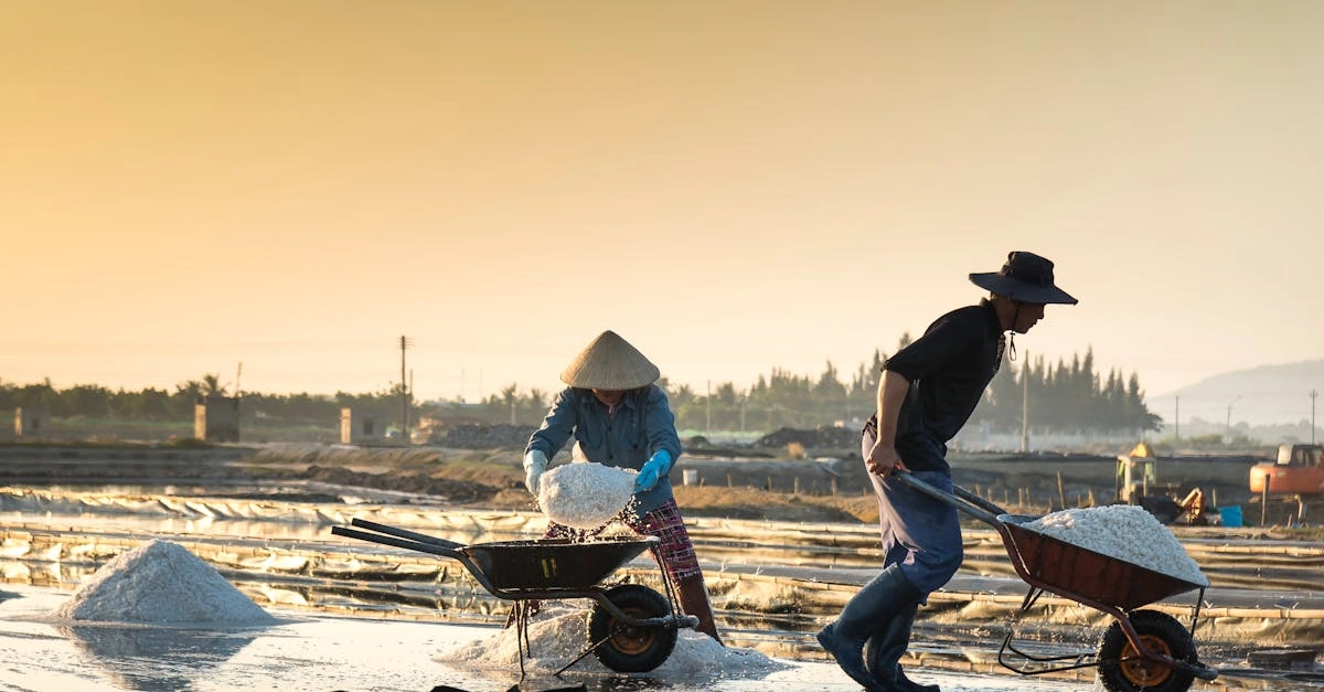 Цифровые ресурсы и экономические аспекты игровой индустрии